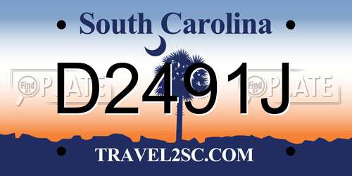 D2491J South Carolina License Plate
