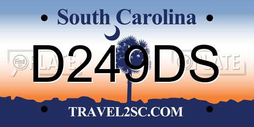 D249DS South Carolina License Plate