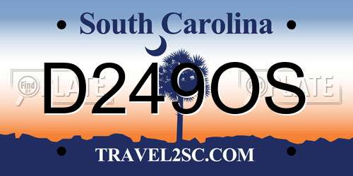 D249OS South Carolina License Plate