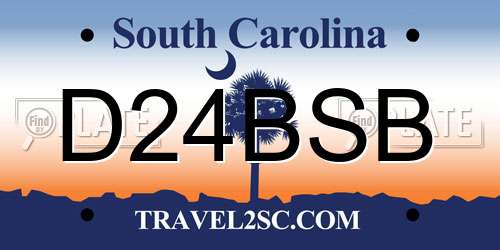 D24BSB South Carolina License Plate