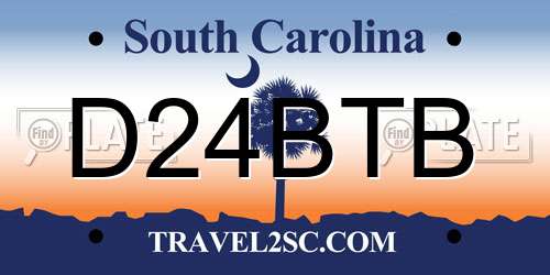 D24BTB South Carolina License Plate