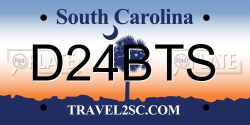D24BTS South Carolina License Plate