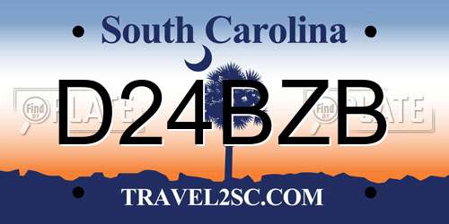 D24BZB South Carolina License Plate