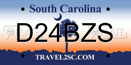 D24BZS South Carolina License Plate