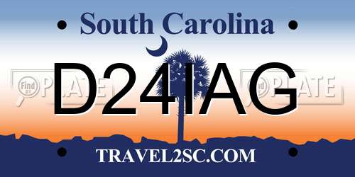 D24IAG South Carolina License Plate
