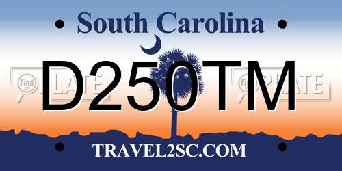 D250TM South Carolina License Plate