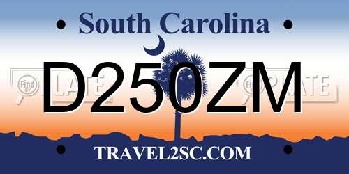 D250ZM South Carolina License Plate