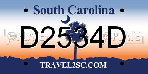 D2534D South Carolina License Plate