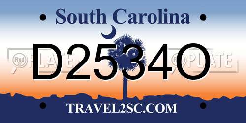 D2534O South Carolina License Plate