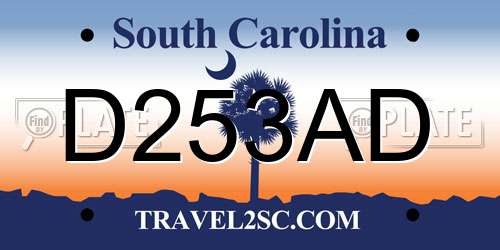 D253AD South Carolina License Plate