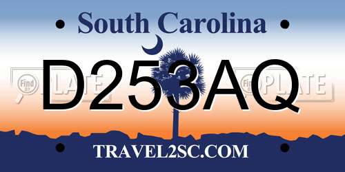 D253AQ South Carolina License Plate