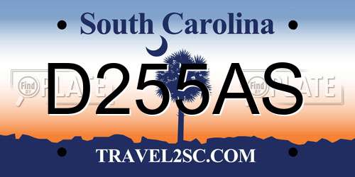 D255AS South Carolina License Plate