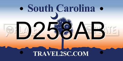 D258AB South Carolina License Plate