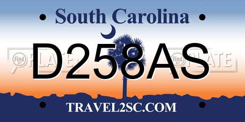 D258AS South Carolina License Plate