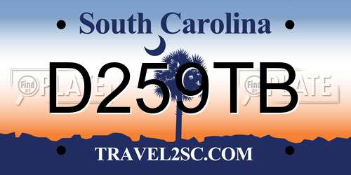 D259TB South Carolina License Plate