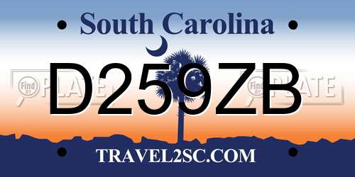 D259ZB South Carolina License Plate