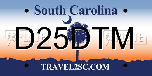 D25DTM South Carolina License Plate