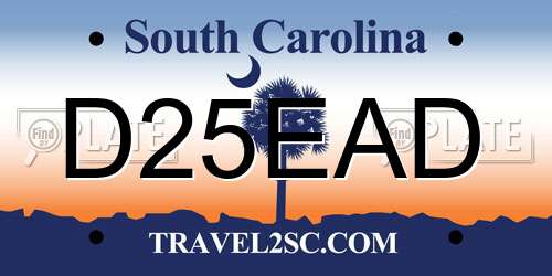 D25EAD South Carolina License Plate