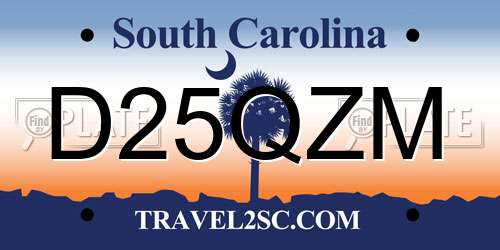 D25QZM South Carolina License Plate