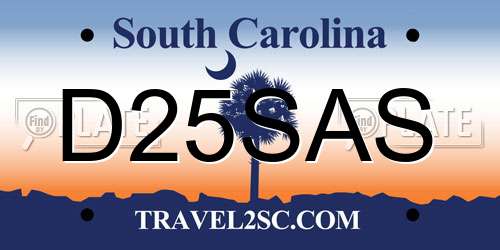 D25SAS South Carolina License Plate