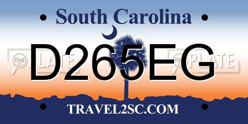 D265EG South Carolina License Plate