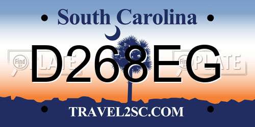D268EG South Carolina License Plate