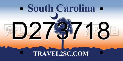 D273718 South Carolina License Plate