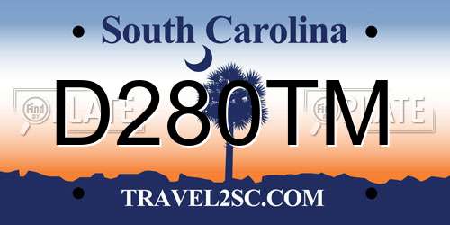 D280TM South Carolina License Plate