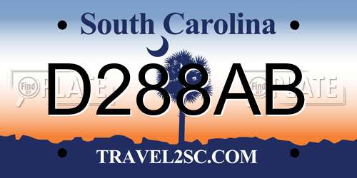 D288AB South Carolina License Plate