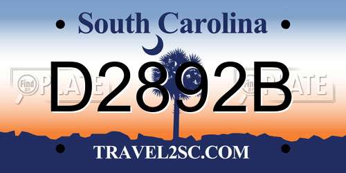 D2892B South Carolina License Plate