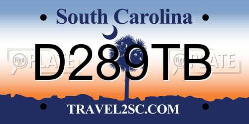 D289TB South Carolina License Plate