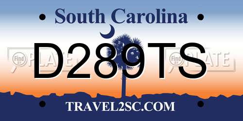 D289TS South Carolina License Plate