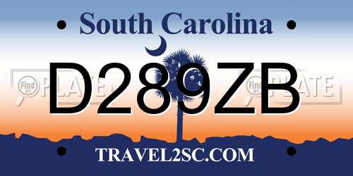 D289ZB South Carolina License Plate