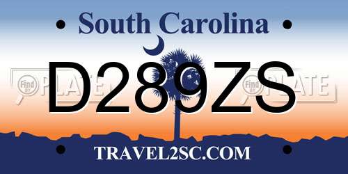 D289ZS South Carolina License Plate