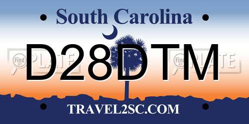 D28DTM South Carolina License Plate