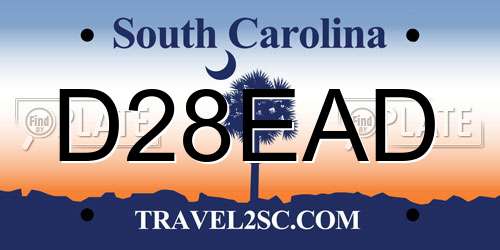 D28EAD South Carolina License Plate
