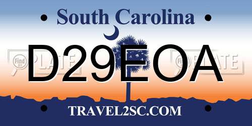 D29EOA South Carolina License Plate