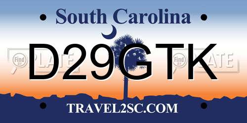 D29GTK South Carolina License Plate
