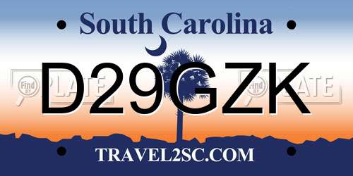 D29GZK South Carolina License Plate