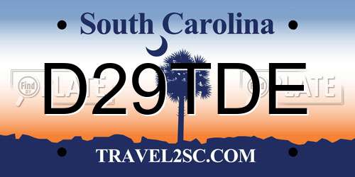 D29TDE South Carolina License Plate