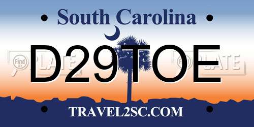 D29TOE South Carolina License Plate