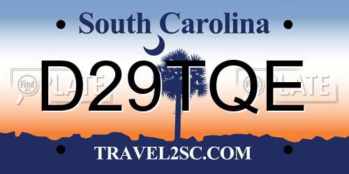 D29TQE South Carolina License Plate