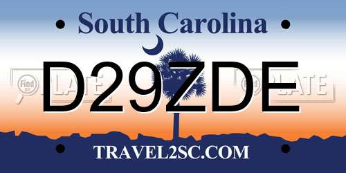 D29ZDE South Carolina License Plate