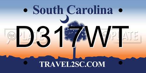 D317WT South Carolina License Plate