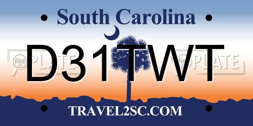 D31TWT South Carolina License Plate