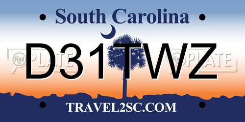 D31TWZ South Carolina License Plate