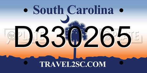D330265 South Carolina License Plate
