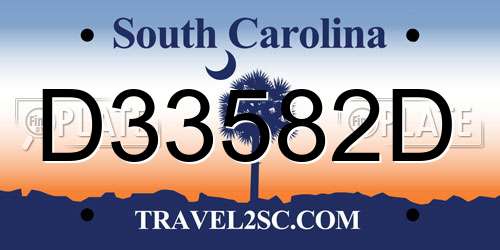 D33582D South Carolina License Plate