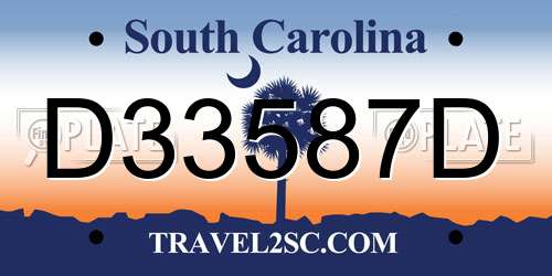 D33587D South Carolina License Plate