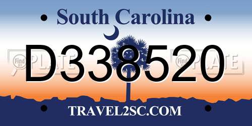 D338520 South Carolina License Plate